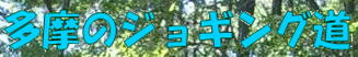 多摩のジョギング道